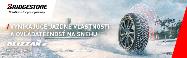 Bridgestone Blizzak 6